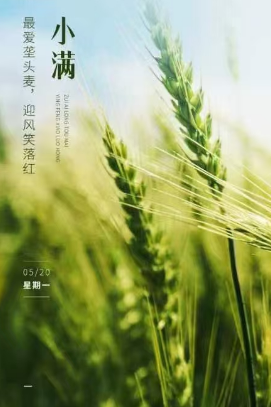 小滿即安，未來可期！